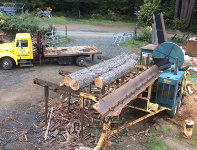 Image Of Firewood Processor